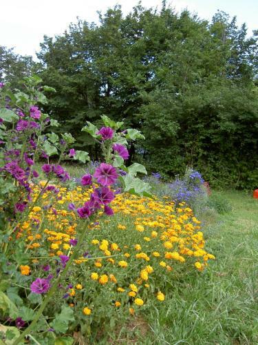 Bed & Breakfast Affittacamere C� Mea Dina