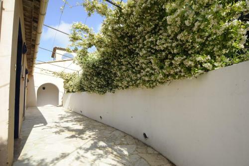 Bed & Breakfast Aloasis