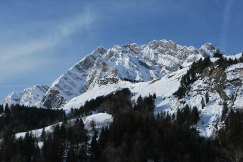 Le Flocon Des Aravis