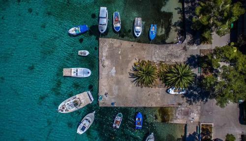 Apartamento Dalmatti