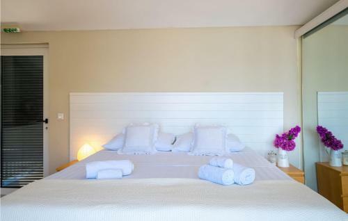 Awesome Home In Lopud With 4 Bedrooms