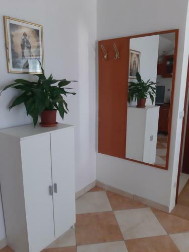 Apartments T & D
