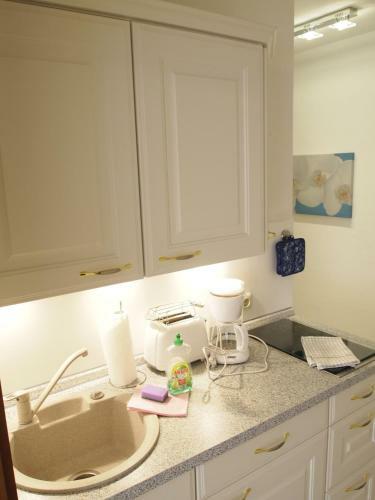 Apartment Schimmer