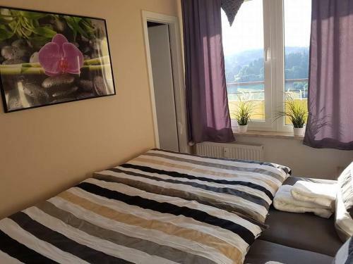 Apartamento App. 587 Panoramic Hotel Hohegei�