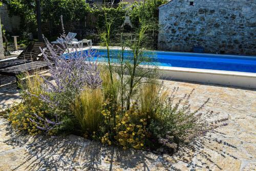 Stone House Kula Milica