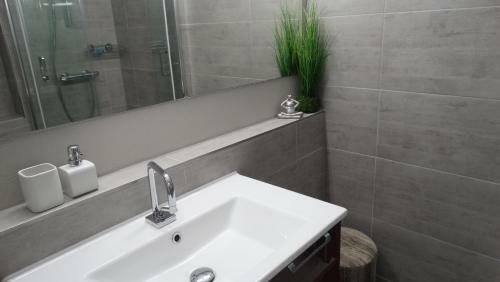 Apartamento Buntspecht