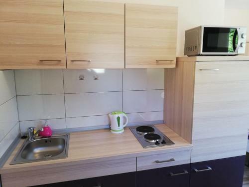 Studio Apartment Palmira