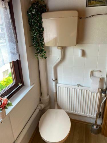 Apartamento Ferienwohnung Friedrichsruh