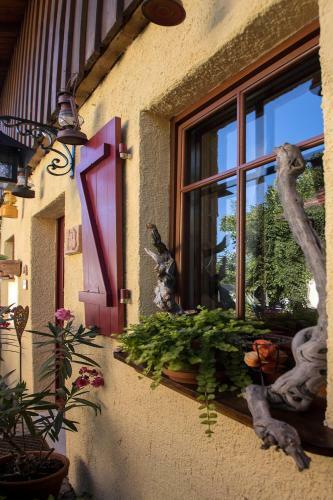 Apartamento Romantisches Winzerh�uschen
