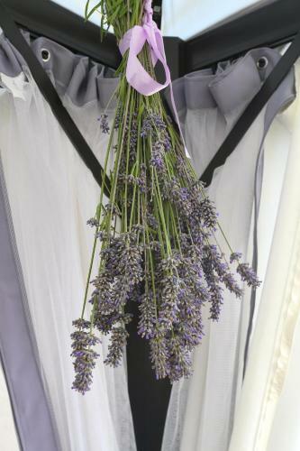 Apartman Lavanda