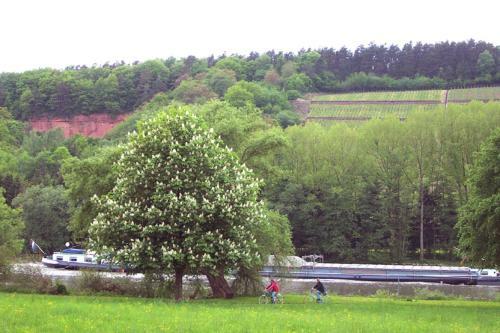 Apartamento Ferienwohnung Auf Sch�fers Spuren