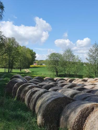 Apartamento Anni's Waldblick