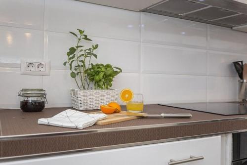 Apartment Arka 1