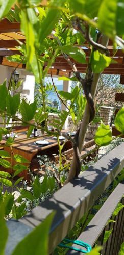 Villa Ku?a Za Odmor Pavincica