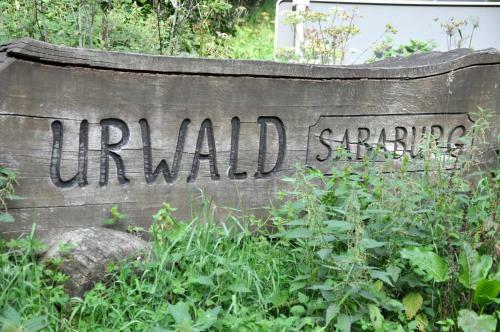 Apartamento Ruhige Und Gem�tliche Ferienwohnung In Calden