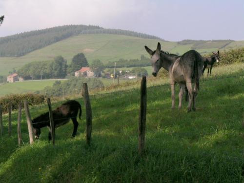 Agroturismo Kasa Barri