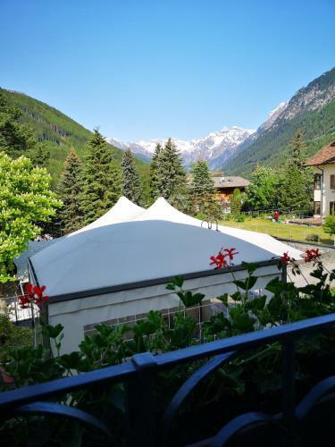 Hotel Schuster