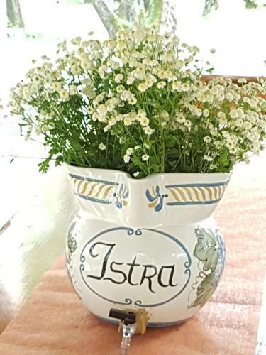 Apartman Roberta