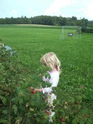 Agroturismo Wagner-schneider-hof