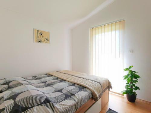 Holiday House Nela
