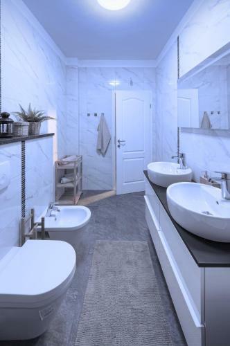 Apartment Kogej
