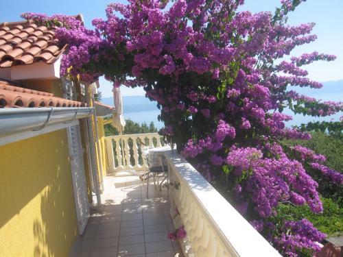 Apartmani Benko Medveja