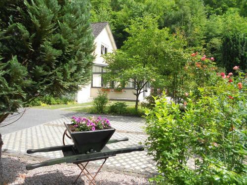 Apartamento Fewo Amendert