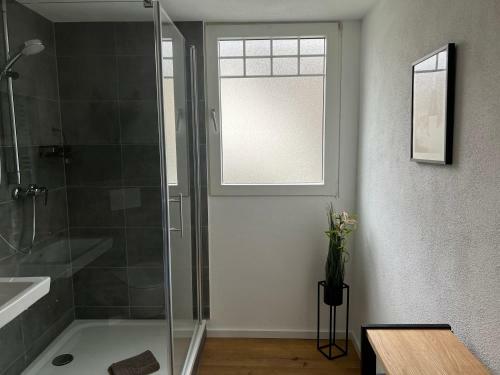 Apartamento Weingut G�stehaus Bach