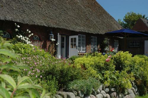 Haus Holl�nderdeich