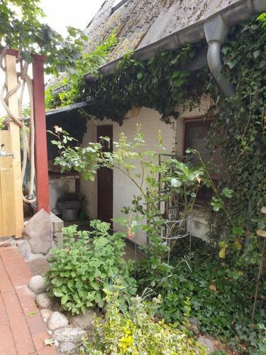 Apartamento Ferienwohnung Am Osterdeich
