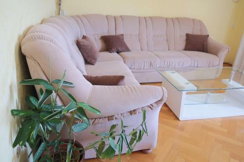 Hostal Guest House Ivo