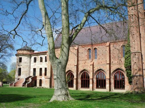Ferienhaus Paula Am Klostersee, Urlaub Mit Hund