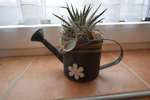 Apartamento Ferienwohnung Haus M�we
