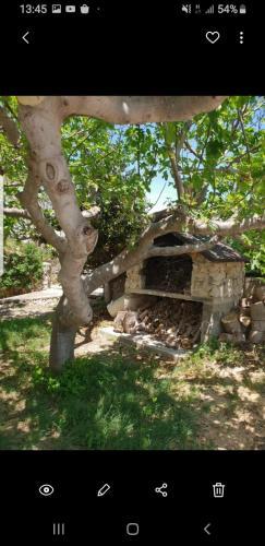 Apartman Viktorija