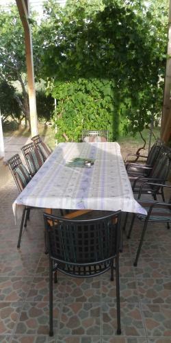 Apartman Pave & Ilija Jr