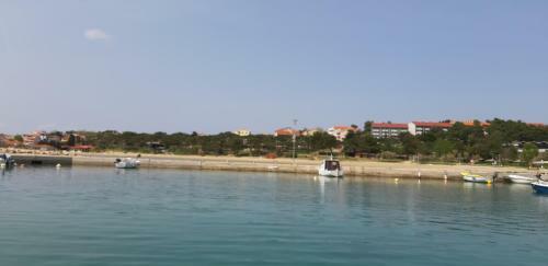 Apartman Pave & Ilija Jr