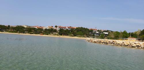 Apartman Pave & Ilija Jr