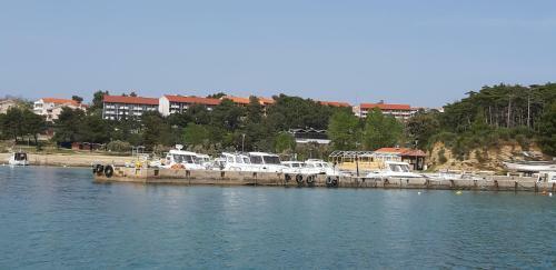 Apartman Pave & Ilija Jr