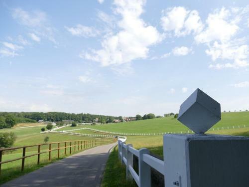 Hotel Hofgut Albf�hren