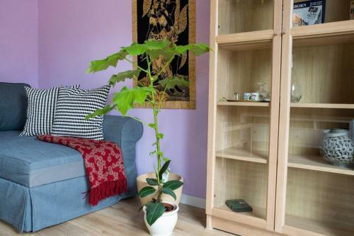 Apartamento Farbenfrohe Ferienwohnung