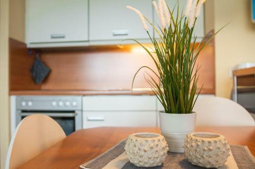 Apartamento Haus-am-deich-wohnung-8