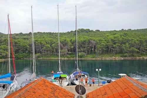 Apartments By The Sea Molat - 18433
