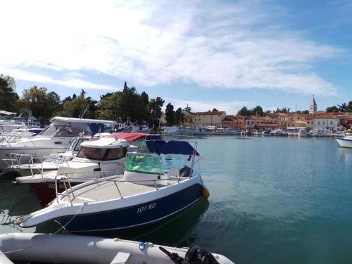 Holiday Home In Momjan - Istrien 41354