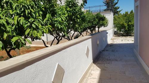 Ruzica Apartments