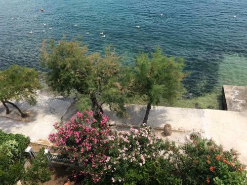 Apartamentos Beach House Petar&eli