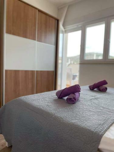 Apartman & Rooms Draga