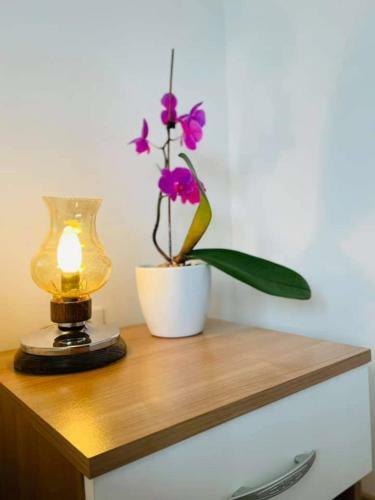 Apartman & Rooms Draga