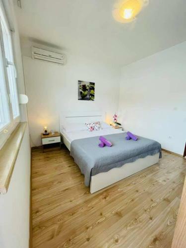 Apartman & Rooms Draga