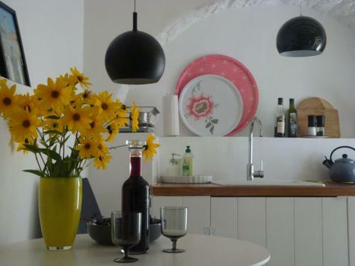 Studio Apartman Pina
