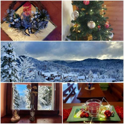 Forest House Masha